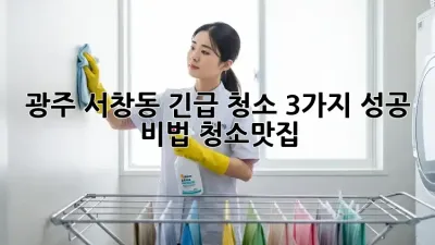 광주 서창동 긴급 청소🚨 3가지 성공 비법! #청소맛집