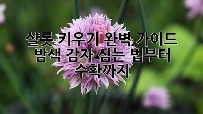 🧅 샬롯 키우기 완벽 가이드: 밤색 감자 심는 법부터 수확까지! 🏡