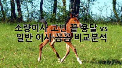 소량이사 고민 끝! 용달 vs 일반 이사, 꼼꼼 비교분석 🚚💨